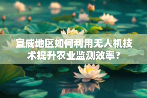 宣威地区如何利用无人机技术提升农业监测效率？