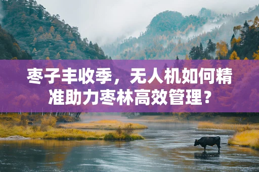 枣子丰收季，无人机如何精准助力枣林高效管理？