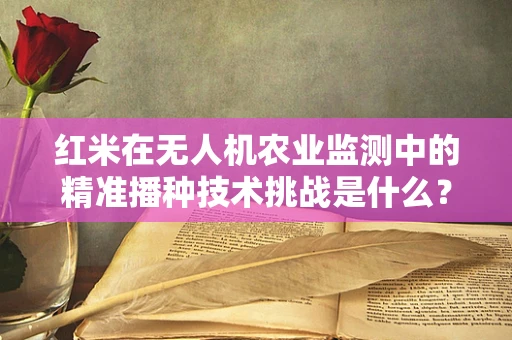 红米在无人机农业监测中的精准播种技术挑战是什么？