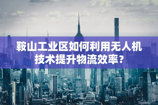 鞍山工业区如何利用无人机技术提升物流效率？