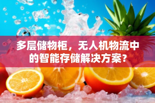 多层储物柜，无人机物流中的智能存储解决方案？