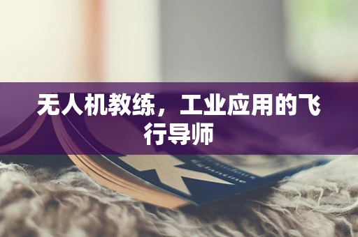 无人机教练，工业应用的飞行导师