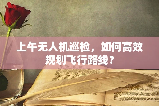上午无人机巡检，如何高效规划飞行路线？