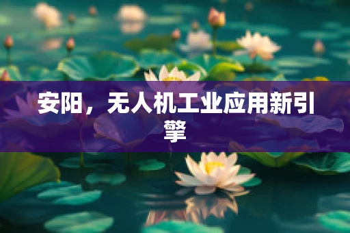 安阳，无人机工业应用新引擎
