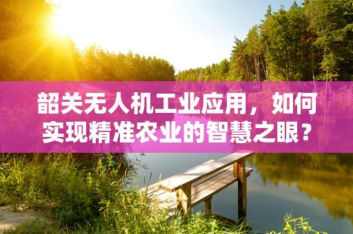 韶关无人机工业应用，如何实现精准农业的智慧之眼？