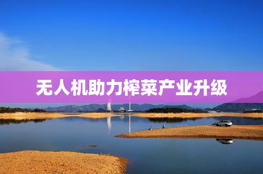 无人机助力榨菜产业升级