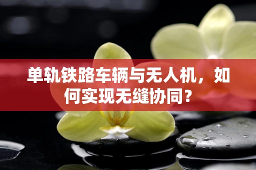 单轨铁路车辆与无人机，如何实现无缝协同？