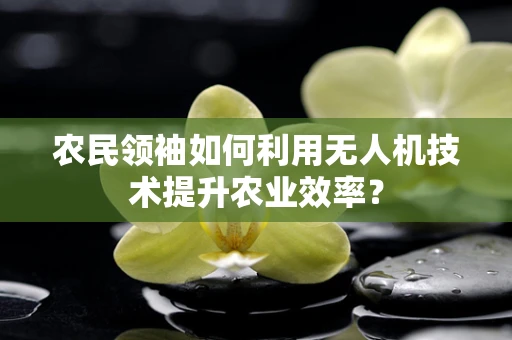 农民领袖如何利用无人机技术提升农业效率？