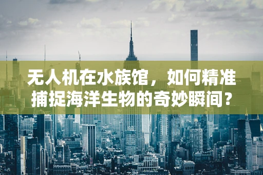 无人机在水族馆，如何精准捕捉海洋生物的奇妙瞬间？