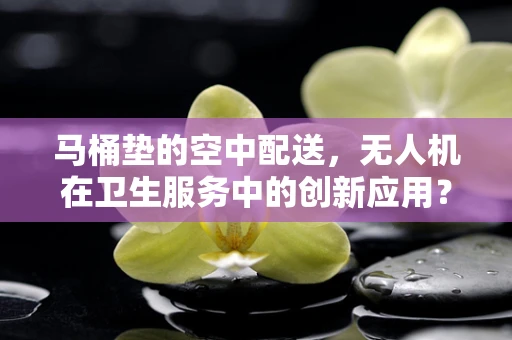 马桶垫的空中配送，无人机在卫生服务中的创新应用？