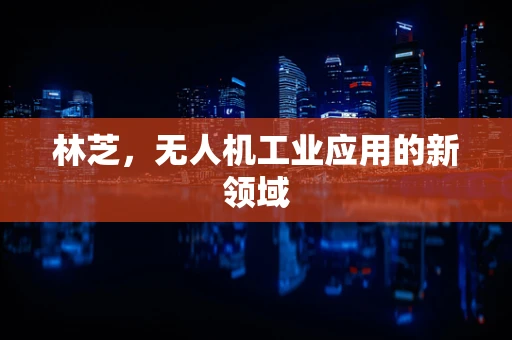 林芝，无人机工业应用的新领域