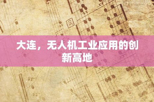 大连，无人机工业应用的创新高地