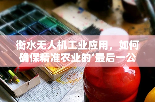衡水无人机工业应用，如何确保精准农业的‘最后一公里’？