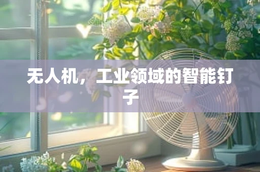 无人机，工业领域的智能钉子