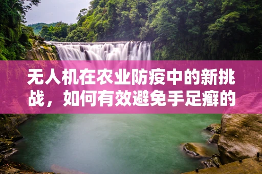 无人机在农业防疫中的新挑战，如何有效避免手足癣的传播？