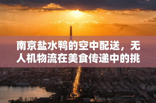 南京盐水鸭的空中配送，无人机物流在美食传递中的挑战与机遇