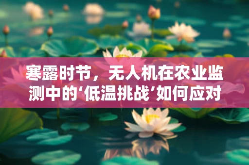 寒露时节，无人机在农业监测中的‘低温挑战’如何应对？