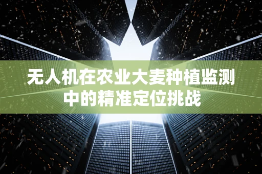 无人机在农业大麦种植监测中的精准定位挑战