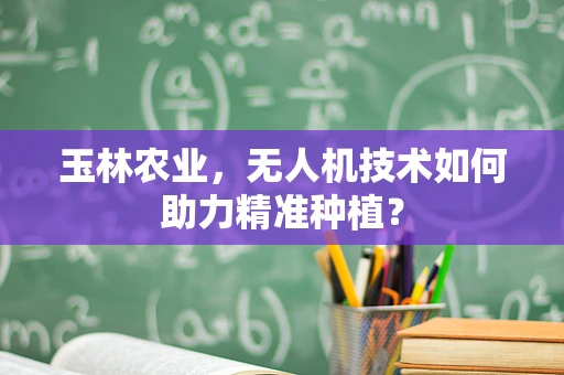 玉林农业，无人机技术如何助力精准种植？