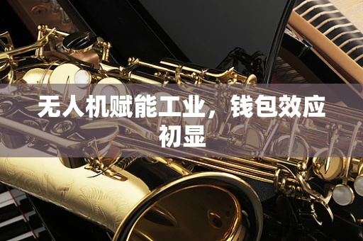 无人机赋能工业，钱包效应初显