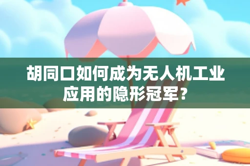 胡同口如何成为无人机工业应用的隐形冠军？