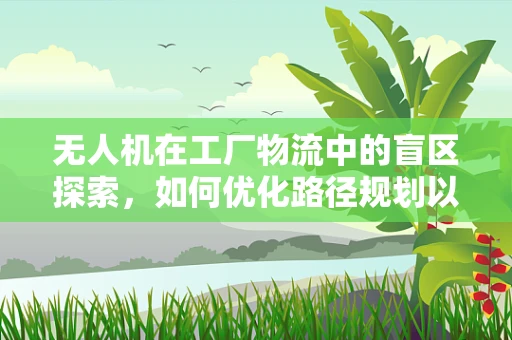 无人机在工厂物流中的盲区探索，如何优化路径规划以减少碰撞风险？