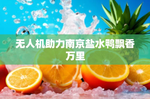 无人机助力南京盐水鸭飘香万里