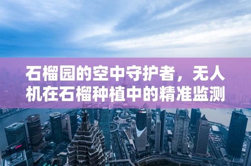石榴园的空中守护者，无人机在石榴种植中的精准监测挑战