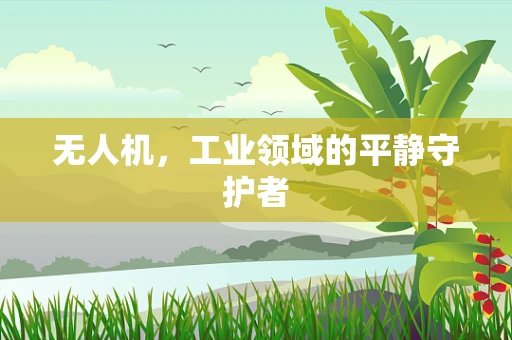 无人机，工业领域的平静守护者