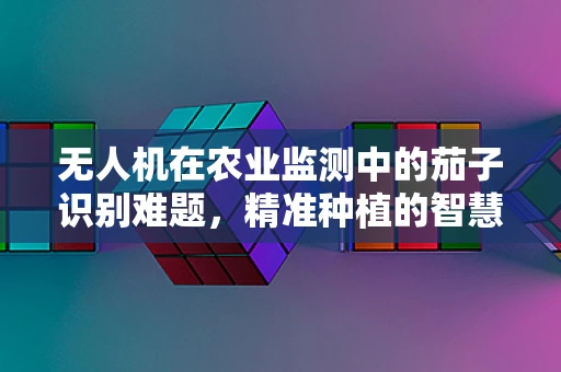 无人机在农业监测中的茄子识别难题，精准种植的智慧之眼