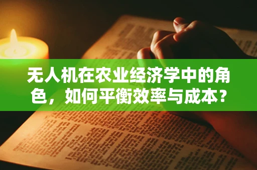 无人机在农业经济学中的角色，如何平衡效率与成本？