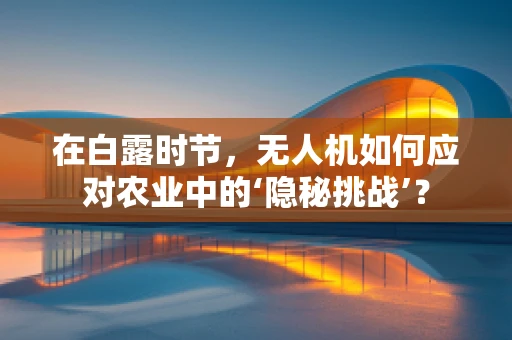 在白露时节，无人机如何应对农业中的‘隐秘挑战’？
