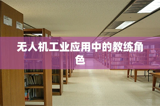 无人机工业应用中的教练角色