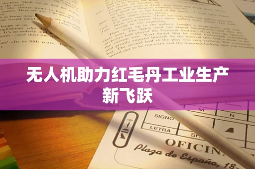 无人机助力红毛丹工业生产新飞跃