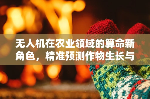 无人机在农业领域的算命新角色，精准预测作物生长与病虫害