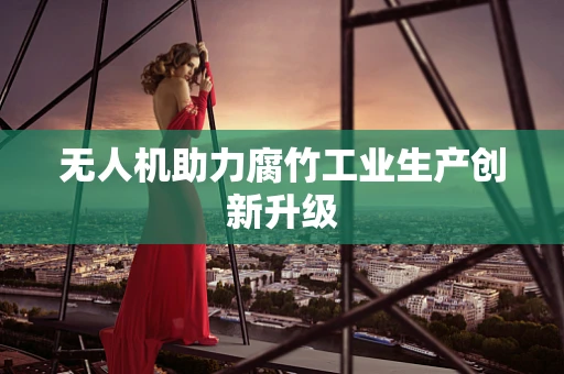 无人机助力腐竹工业生产创新升级