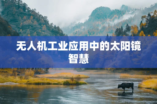 无人机工业应用中的太阳镜智慧