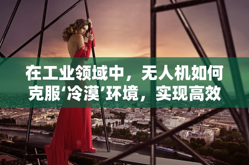 在工业领域中，无人机如何克服‘冷漠’环境，实现高效作业？