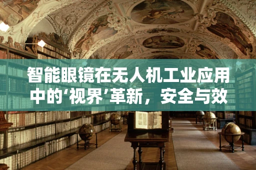 智能眼镜在无人机工业应用中的‘视界’革新，安全与效率的双重挑战