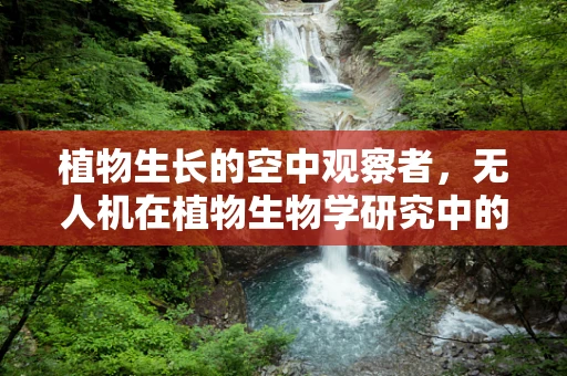 植物生长的空中观察者，无人机在植物生物学研究中的精准监测挑战