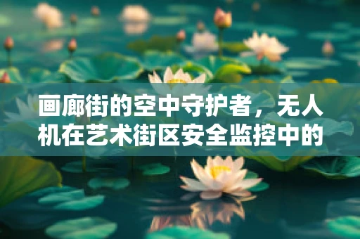 画廊街的空中守护者，无人机在艺术街区安全监控中的应用挑战