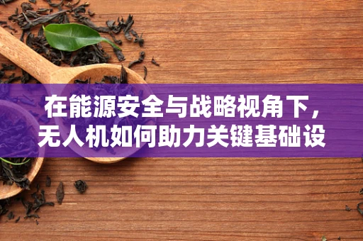 在能源安全与战略视角下，无人机如何助力关键基础设施监控？