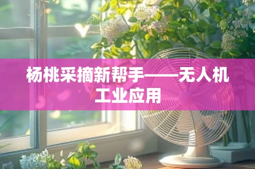 杨桃采摘新帮手——无人机工业应用