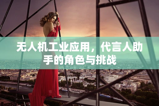 无人机工业应用，代言人助手的角色与挑战