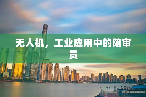 无人机，工业应用中的陪审员