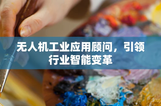 无人机工业应用顾问，引领行业智能变革