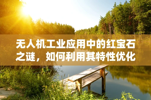 无人机工业应用中的红宝石之谜，如何利用其特性优化视觉识别系统？