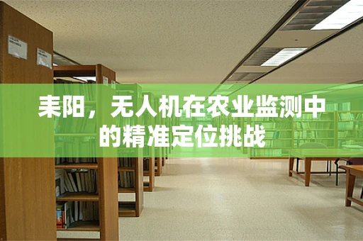 耒阳，无人机在农业监测中的精准定位挑战