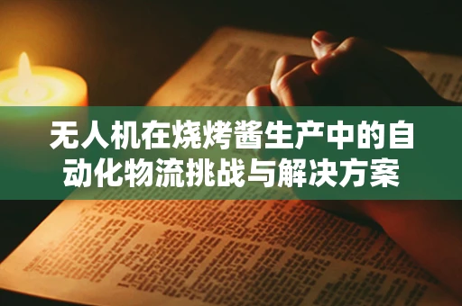 无人机在烧烤酱生产中的自动化物流挑战与解决方案