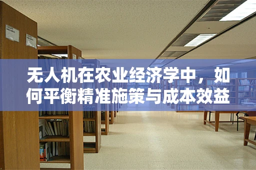 无人机在农业经济学中，如何平衡精准施策与成本效益？